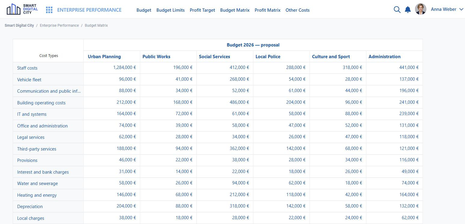 Budget by cost type and department